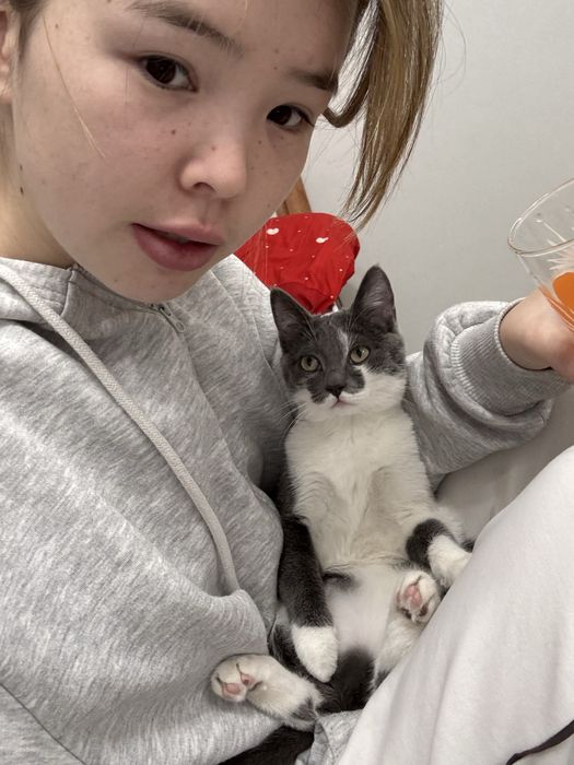 кошка            .
