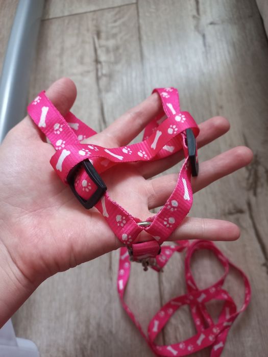 Поводок для маленьких питомцев