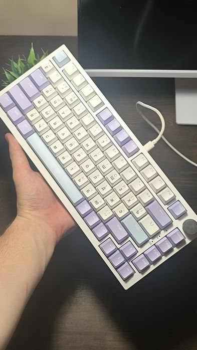 Клава и мышь белые