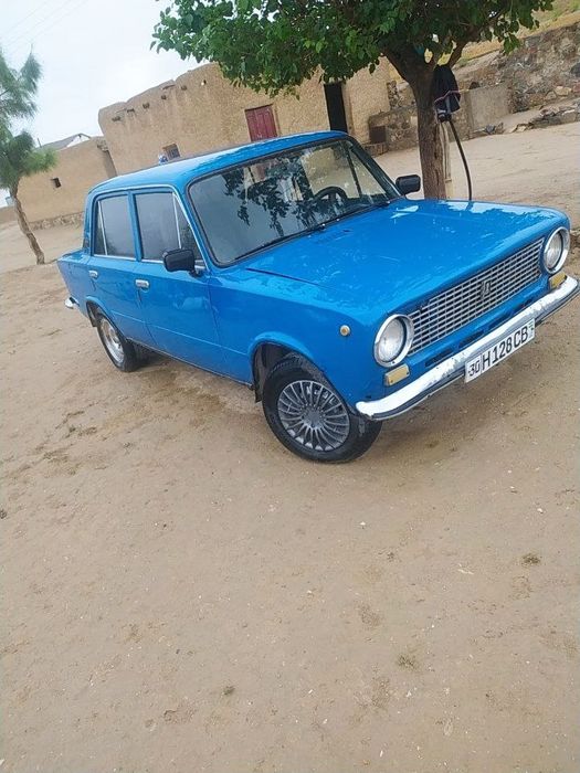 Mator yangidan qilingan prapani bor balonlari qishda bemalol chiqadi