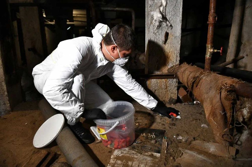 Дезинсекция / Дератизация Цокольных, подвальных технических помещений.