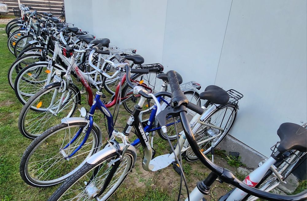Bicicleta/Biciclete Dama