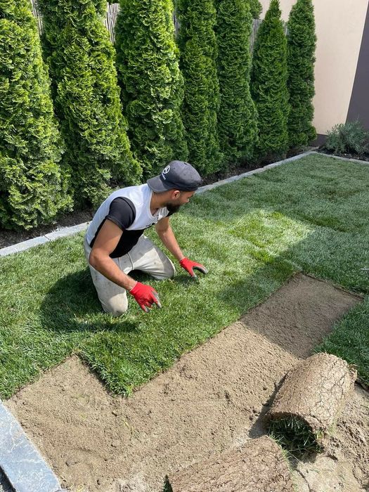 Gazon rulou sport rezistent la soare si umbra