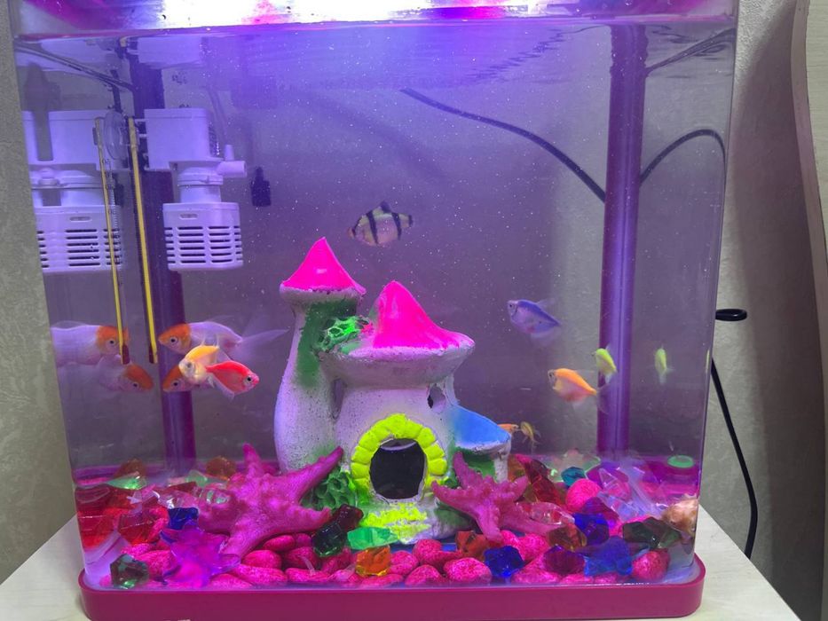 Аквариум  хамма нарсаси билан сотилади