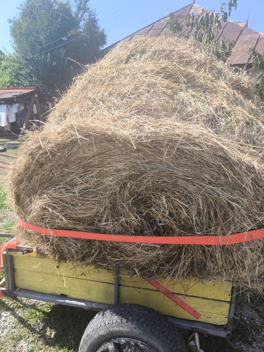 Baloți de vânzare