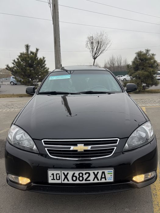 jentra 2022 kichkina petno bor