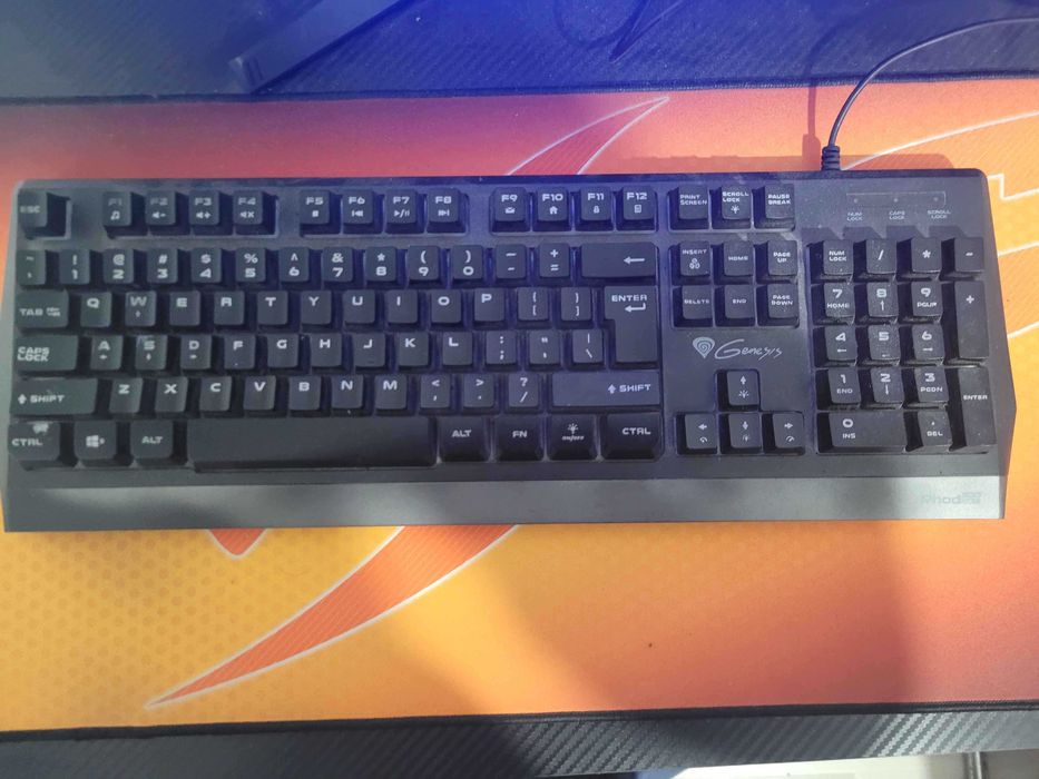 Клавиатура Genesis RHOD 300 RGB