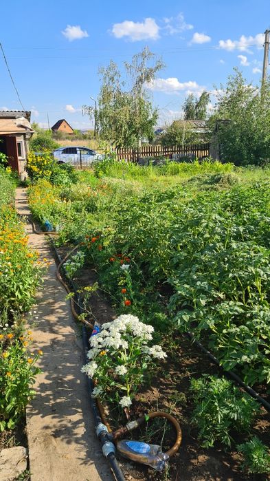 Дача С/о Алтайский энергетик