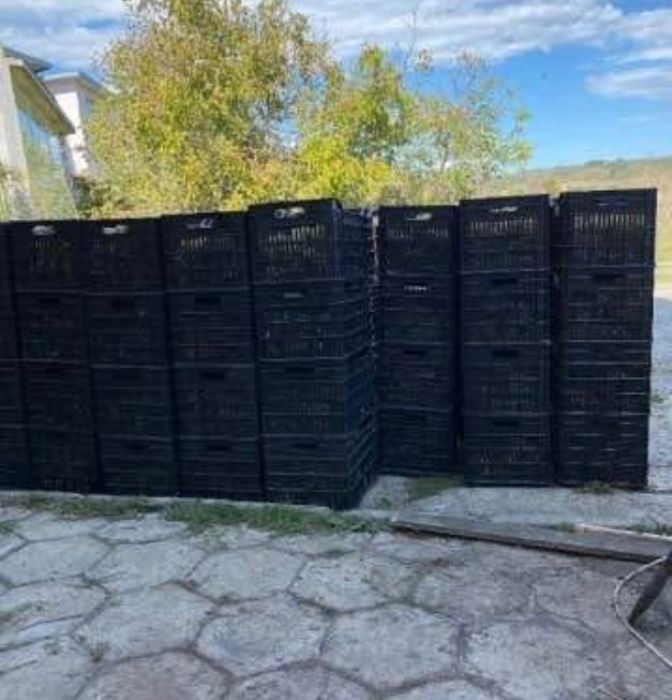 Продавам грозде