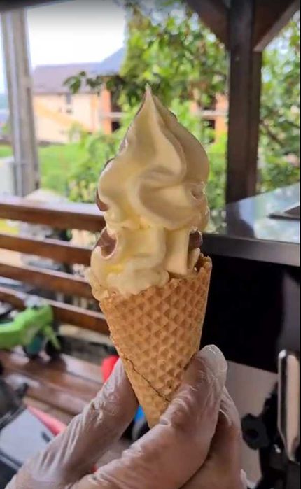 Aparat de inghetata 2+1 Arome 220V 2400W NOUA Transport Gratuit