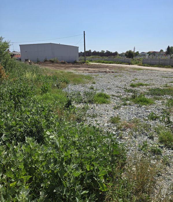 Teren 1000mp+ proiect hala 480mp