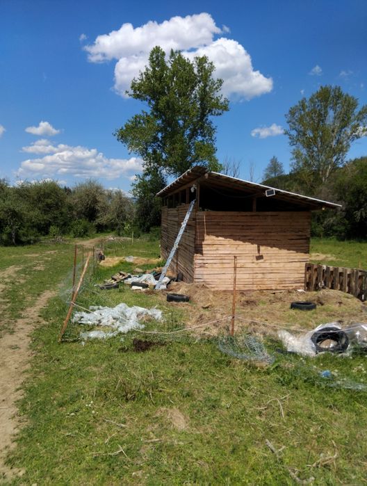 Продава се Парцел в с. Рашка Гращица, Област Кюстендил - 11000 кв.м за 2 €/кв.м - Снимка #2