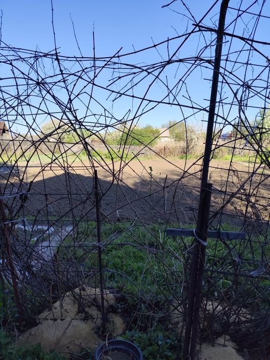 Продам дачу на Орленке