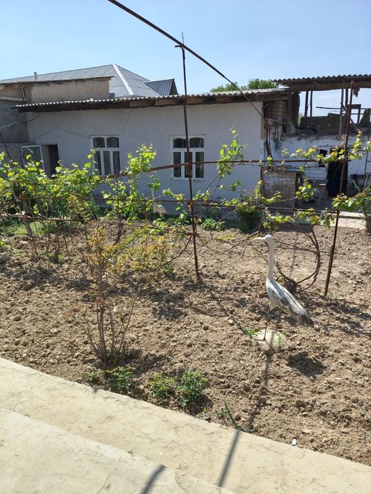 12 sotik hovli sotiladi Toy tepa