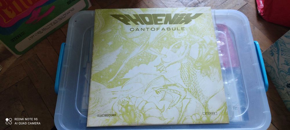 Discuri vinil Phoenix