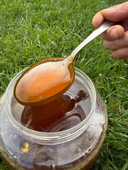 Продам башкирский натуральный мед