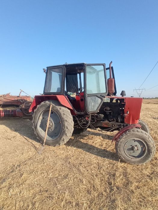 Prespadborchik kirgizistan