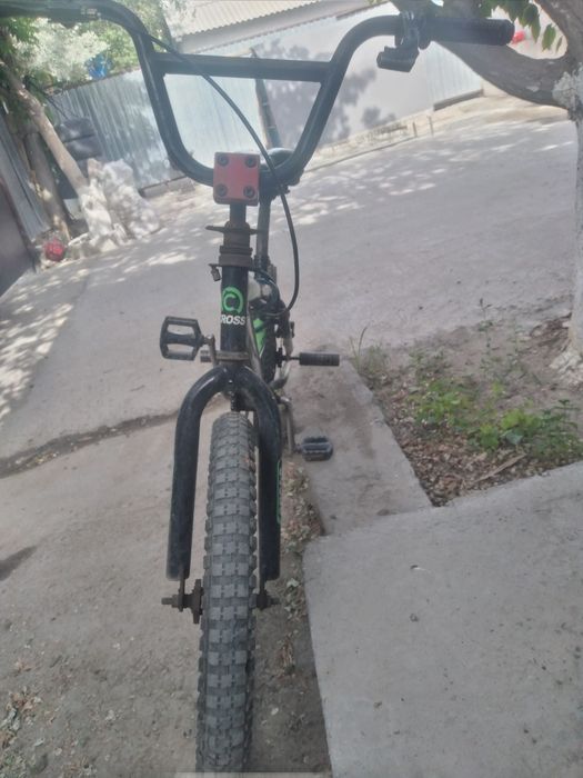 Велик беріледі !