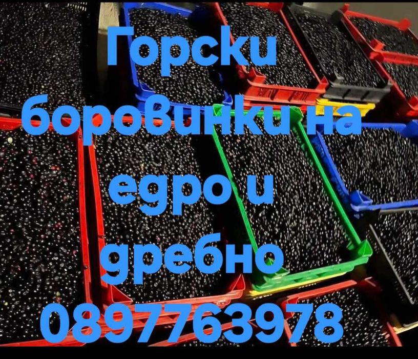 Горска боровинка