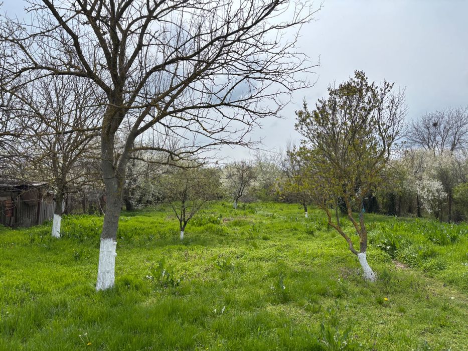 Casă de vânzare în Bulbucata, Giurgiu – 30 km de București