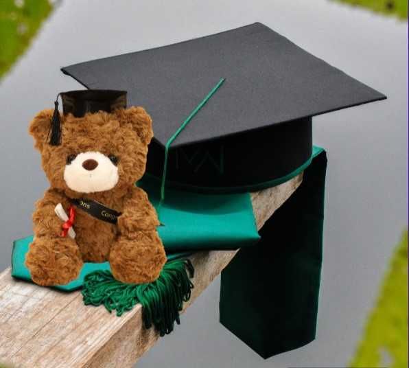 Ursuletul Absolvent 2025 Cadou pentru absolvire, 23 cm, cutie eleganta