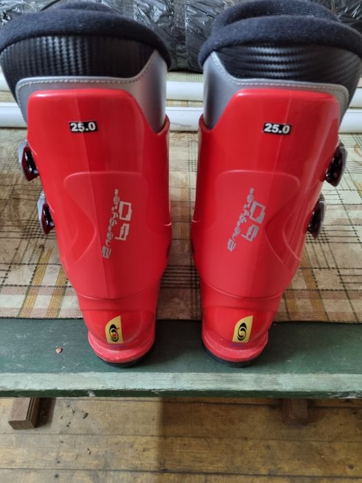 Vând clapari Salomon