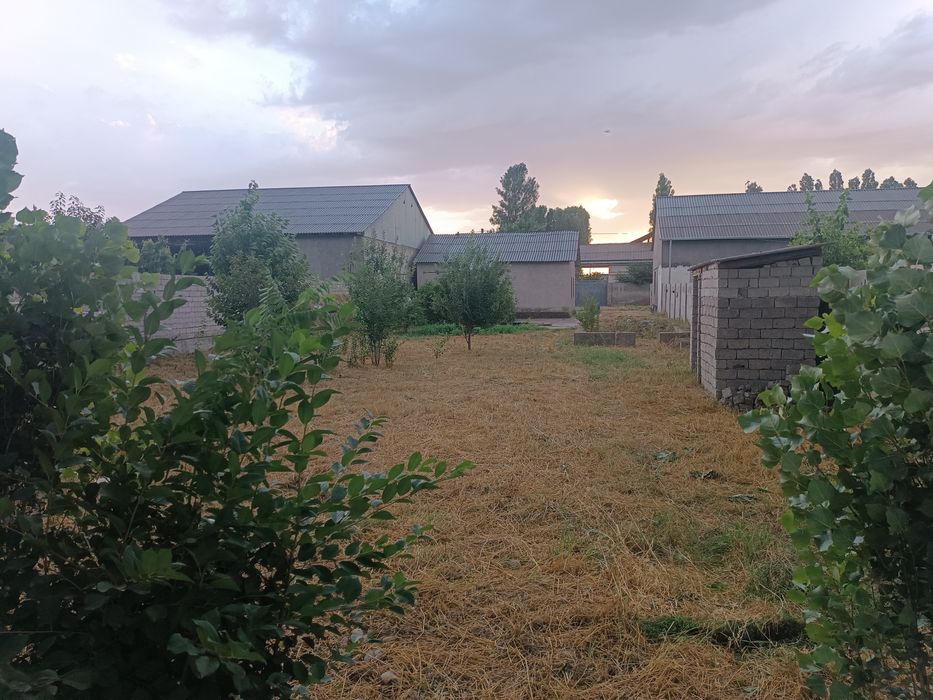 HOVLI sotiladi srochno