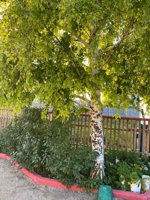 частный полублагоустроенный дом