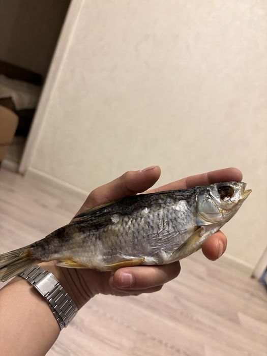 Продам сушонную рыбу