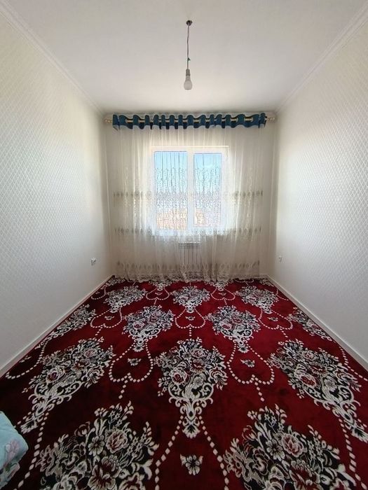 Termez movora uylari tisu unversitetni orqa tarafi