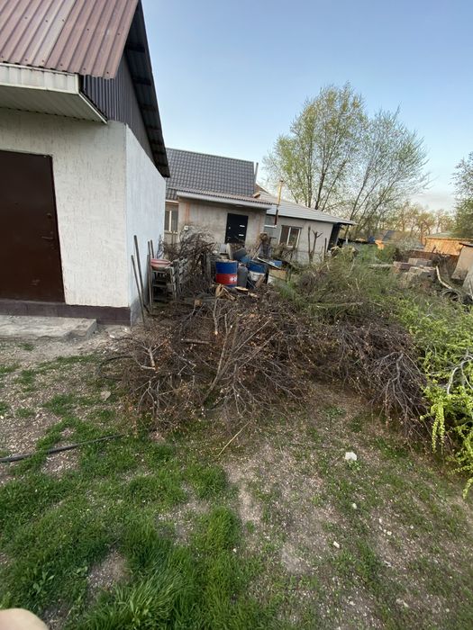 Продам дрова.