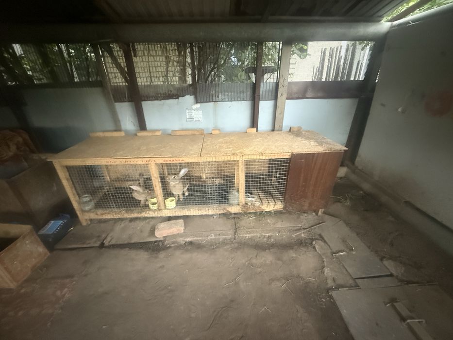 Продаются крольчатники с маточником