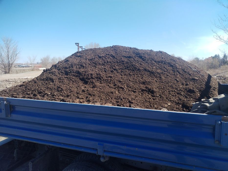 Перегной  Конский Гавяжый