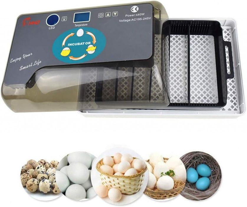 Автоматичен инкубатор за 12 яйца – Лесен за употреба YZ9-12