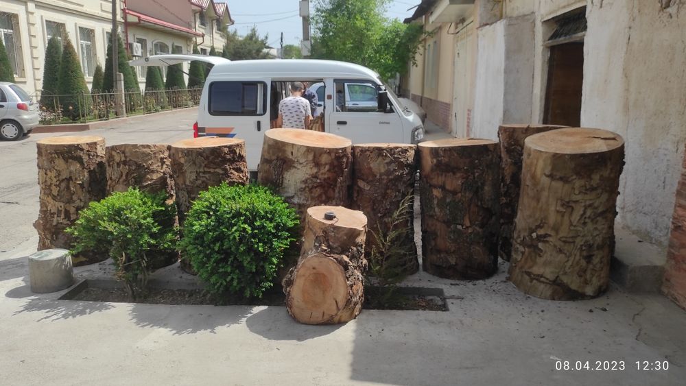 Kunda qassoblaga chinor