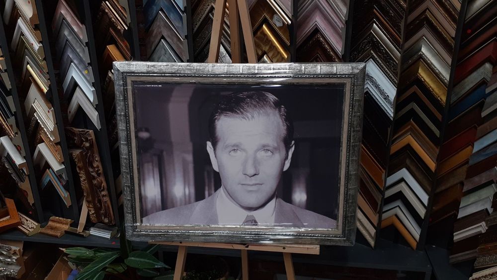 Бъгси Сийгъл-Картина