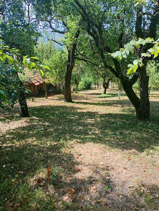 Продавам парцел в с.Типченица об.Враца
