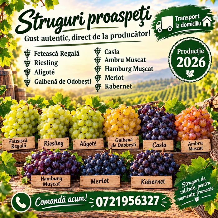 De Vanzare  struguri de vin Productie 2026