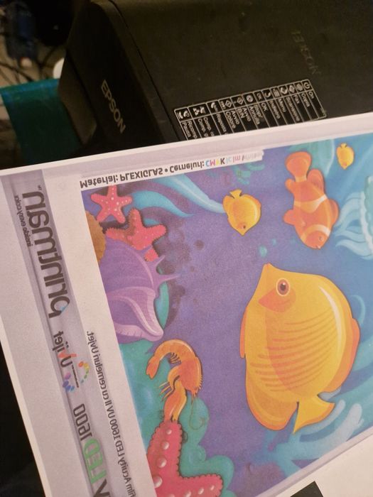 Imprimanta epson .sublimare pentru publicitate  cani tricouri steaguri