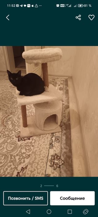 Кошкин дом в отличном состоянии