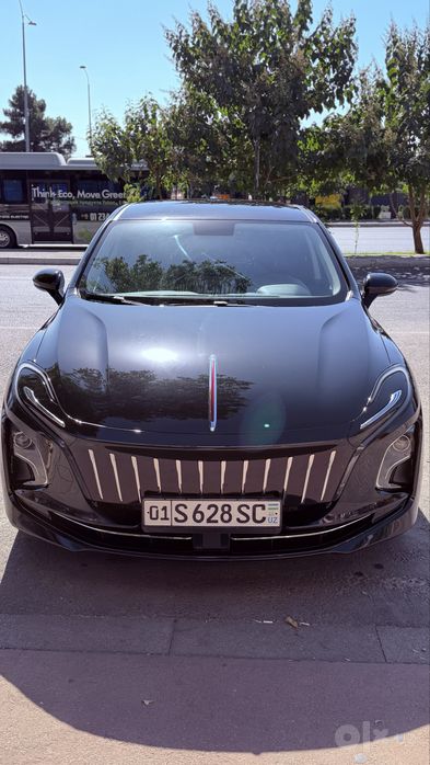 Hongqi E-QM5 sotiladi