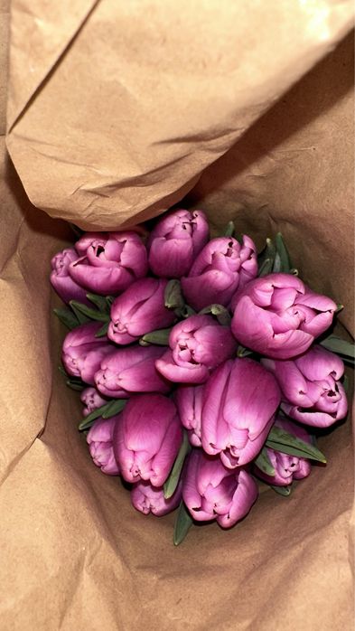 Тюльпаны в РОЗНИЦУ
