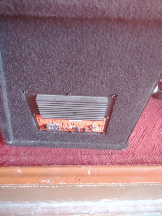 Pioner kapilekt zur xolatda