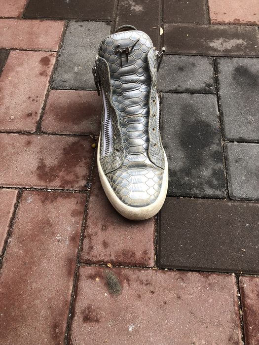 giuseppe zanotti