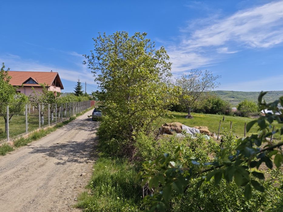 Teren intravilan în Huși, cartier Dric