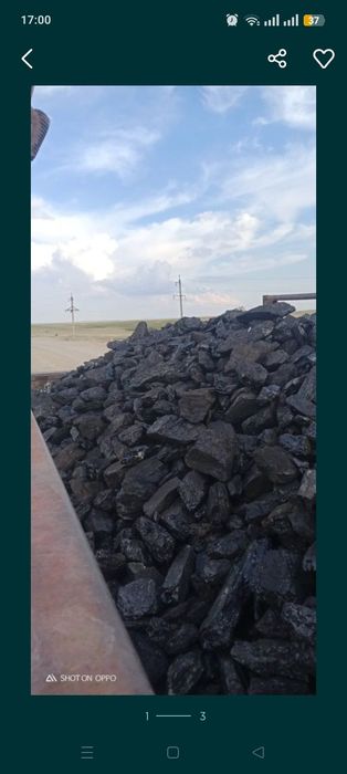 Уголь сортовой, орех Шубарколь