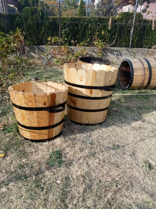 Саксии за лимони и палми