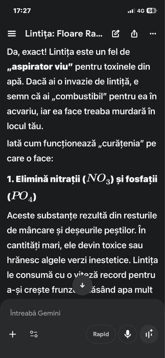 Lintiță - Lemna minor (Duckweed )Plante acvariu de suprafață