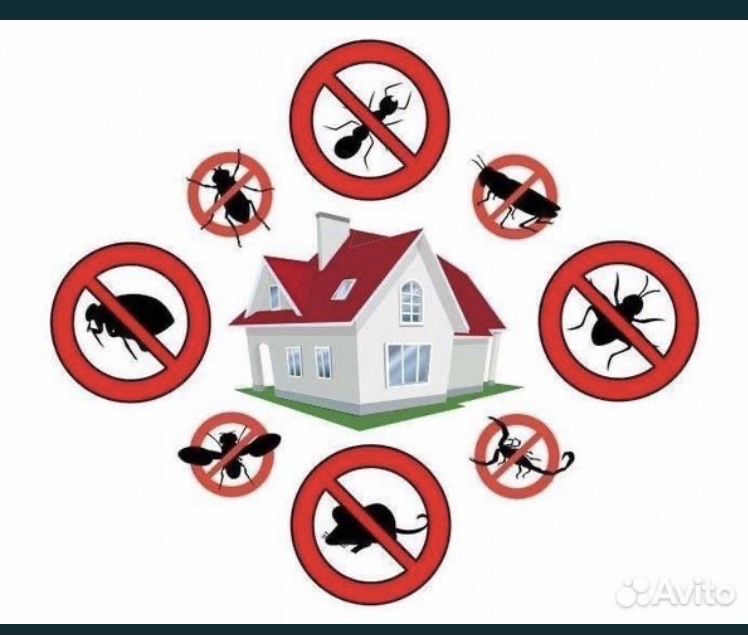 Скидки20%Дезенфекция дизенфекция дезинфекция дизинфекция dizinfeksiya