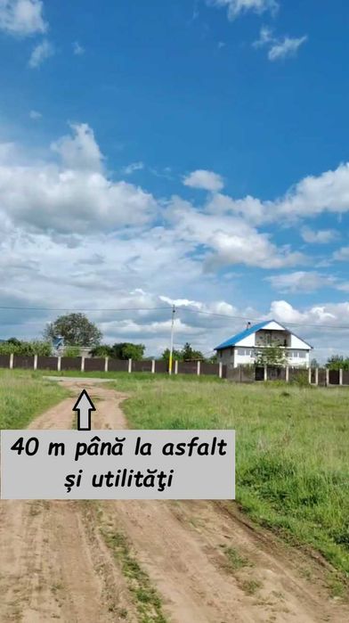 Teren intravilan 2600 mp – Dumbrava Roșie / Dâmburi 3/4